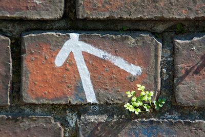 csiegfried kuerschner 8694 kor