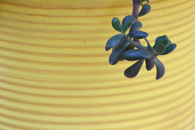 cSiegfried Kuerschner 1739