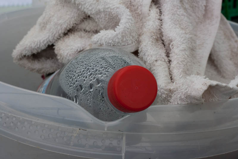 cSiegfried Kuerschner 8506