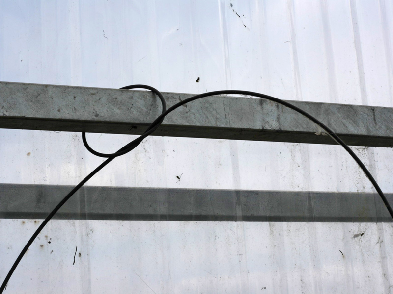 c siegfried kuerschner fsl 03 25