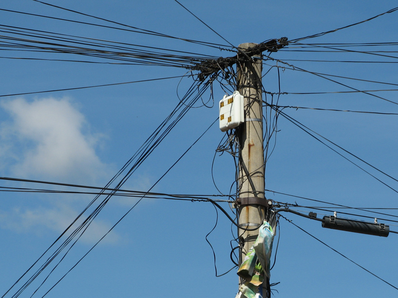 c siegfried kuerschner fsl 03 29