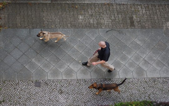 c siegfried kuerschner img 4729a cr