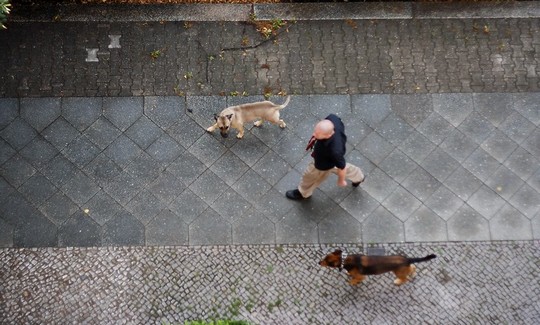 c siegfried kuerschner img 4730a cr