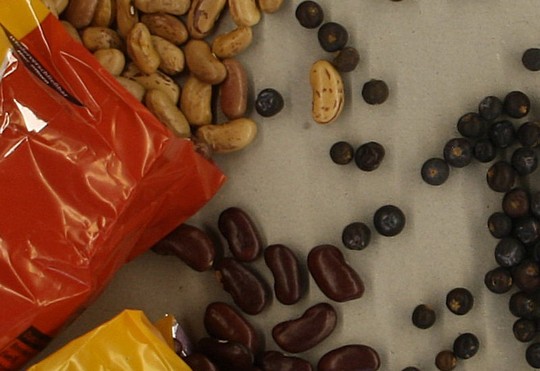 c siegfried kuerschner img 5709a cr