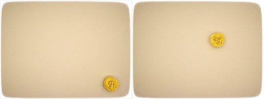 c siegfried kuerschner p1 img 0002 cr r