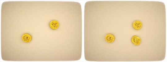 c siegfried kuerschner p2 img 0002 1 cr r