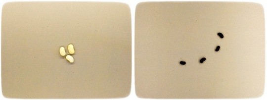 c siegfried kuerschner p4 img 5712 cr1