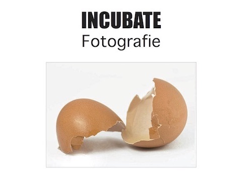 Bild "Aktuelle Projekte:Incubat_500x350.jpg"