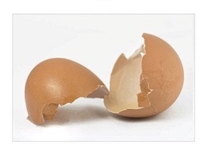 Bild "Aktuelle Projekte:projekte.jpg"